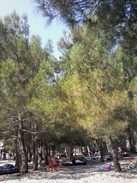 12 дней в Абхазии (Лдзаа, Пицунда, Гагра, Гудаута, Лыхны, Новый Афон, Сухум)