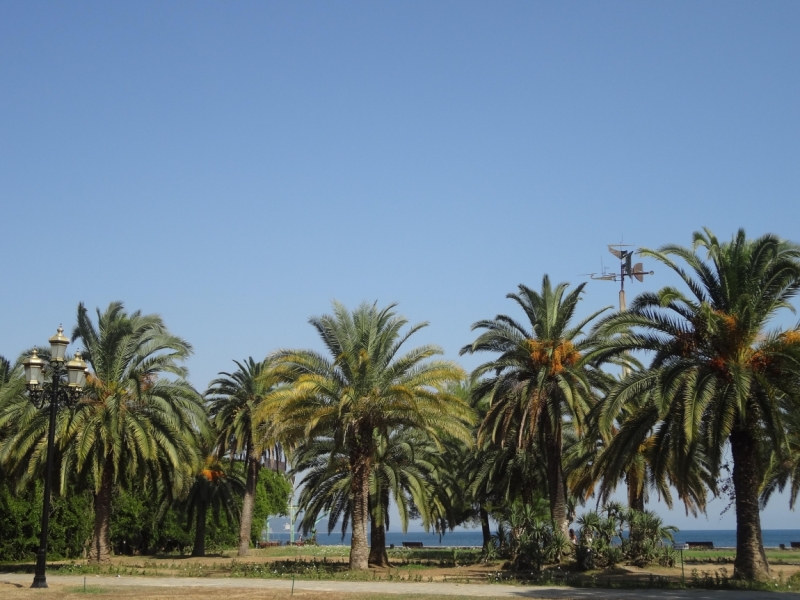 12 дней в Абхазии (Лдзаа, Пицунда, Гагра, Гудаута, Лыхны, Новый Афон, Сухум)