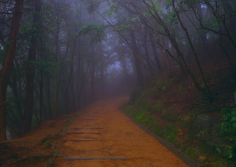 Япония в океане сакуры 2015: Tokyo-Kamakura-Osaka-Himeji-Kyoto-Yoshino-Hikone-гора Fuji