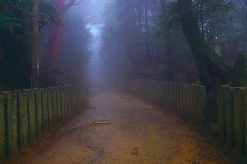 Япония в океане сакуры 2015: Tokyo-Kamakura-Osaka-Himeji-Kyoto-Yoshino-Hikone-гора Fuji