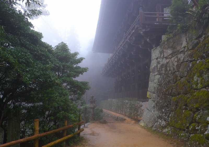 Япония в океане сакуры 2015: Tokyo-Kamakura-Osaka-Himeji-Kyoto-Yoshino-Hikone-гора Fuji