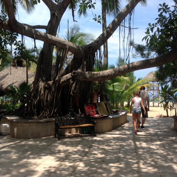 Puerto Vallarta, тихоокеанское побережье Мексики. Белое пятно на сайте Винского.