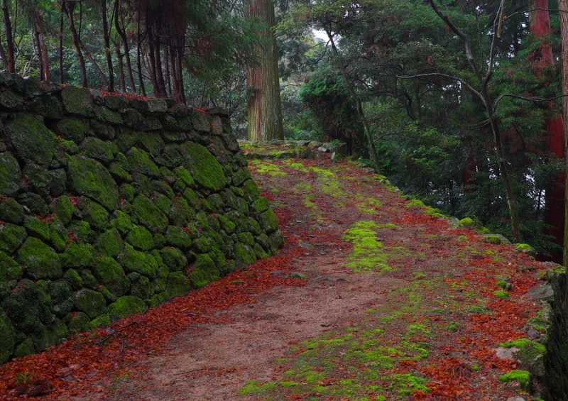 Япония в океане сакуры 2015: Tokyo-Kamakura-Osaka-Himeji-Kyoto-Yoshino-Hikone-гора Fuji