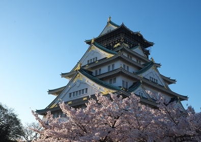 Япония в океане сакуры 2015: Tokyo-Kamakura-Osaka-Himeji-Kyoto-Yoshino-Hikone-гора Fuji