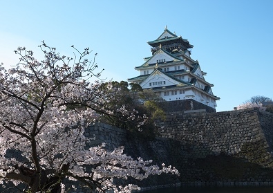 Япония в океане сакуры 2015: Tokyo-Kamakura-Osaka-Himeji-Kyoto-Yoshino-Hikone-гора Fuji