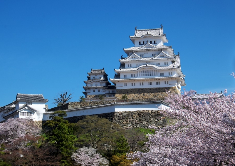 Япония в океане сакуры 2015: Tokyo-Kamakura-Osaka-Himeji-Kyoto-Yoshino-Hikone-гора Fuji