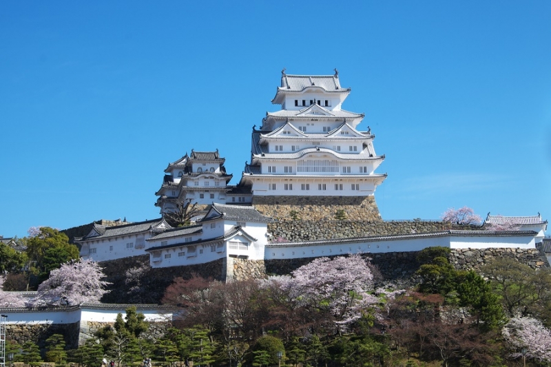 Япония в океане сакуры 2015: Tokyo-Kamakura-Osaka-Himeji-Kyoto-Yoshino-Hikone-гора Fuji