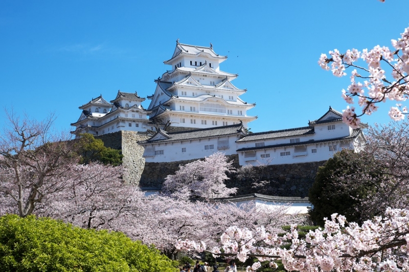 Япония в океане сакуры 2015: Tokyo-Kamakura-Osaka-Himeji-Kyoto-Yoshino-Hikone-гора Fuji