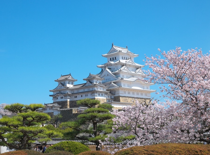 Япония в океане сакуры 2015: Tokyo-Kamakura-Osaka-Himeji-Kyoto-Yoshino-Hikone-гора Fuji