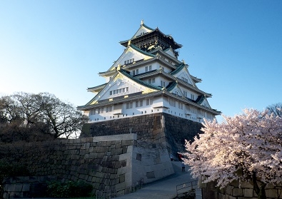 Япония в океане сакуры 2015: Tokyo-Kamakura-Osaka-Himeji-Kyoto-Yoshino-Hikone-гора Fuji