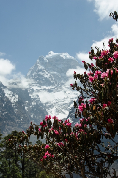 EBC трек март-апрель 2015