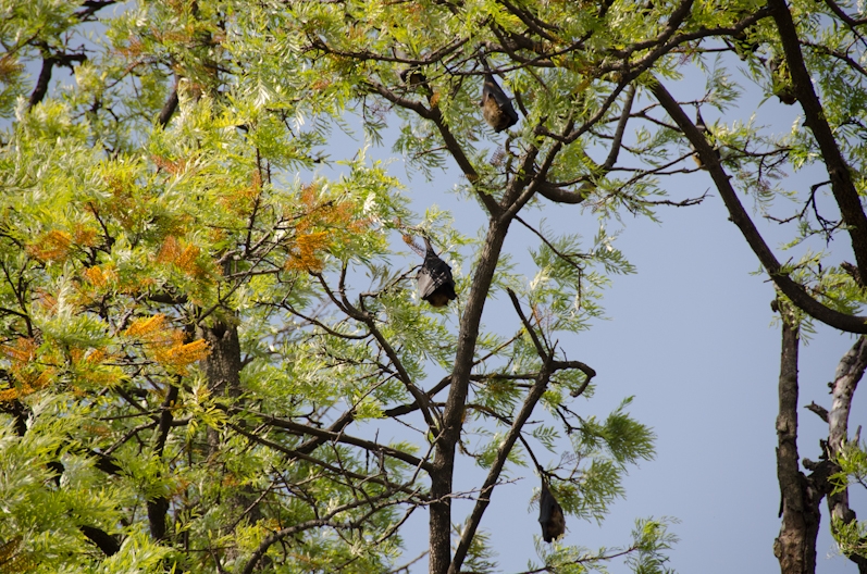 EBC трек март-апрель 2015