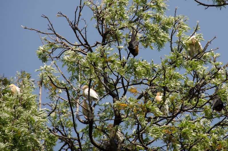 EBC трек март-апрель 2015