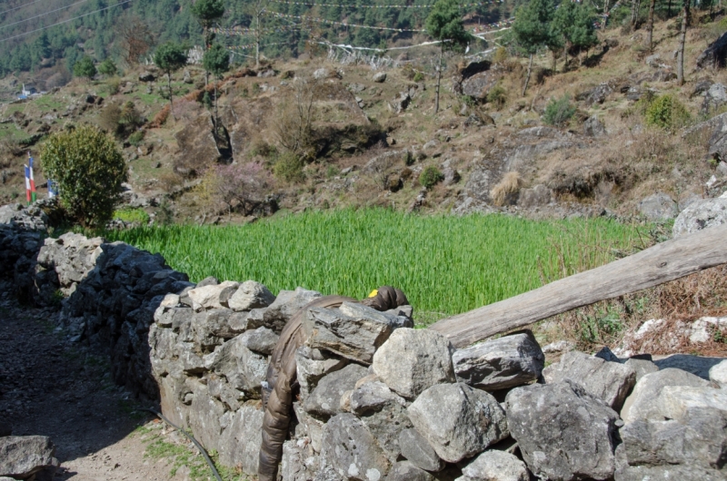 EBC трек март-апрель 2015