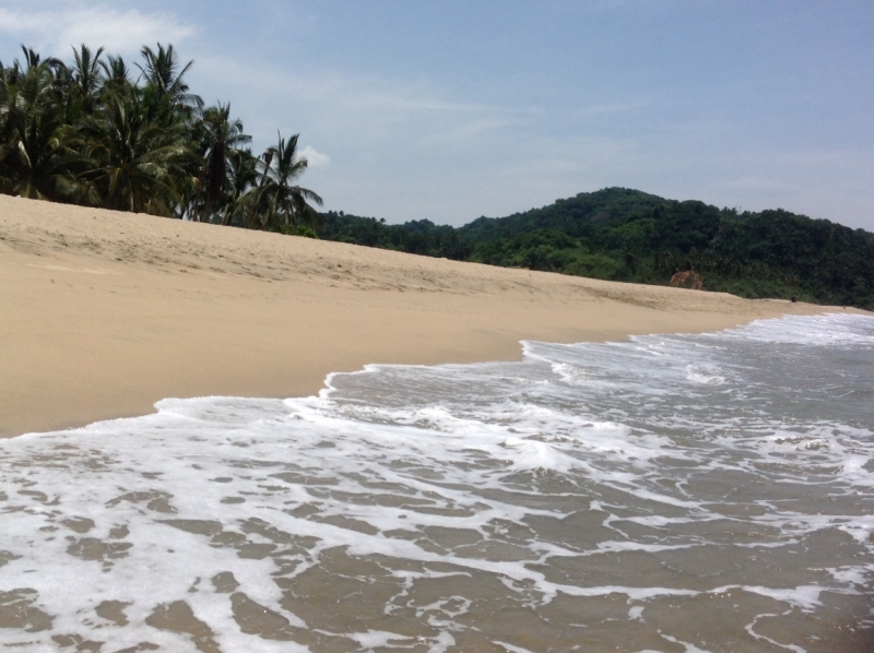 Puerto Vallarta, тихоокеанское побережье Мексики. Белое пятно на сайте Винского.