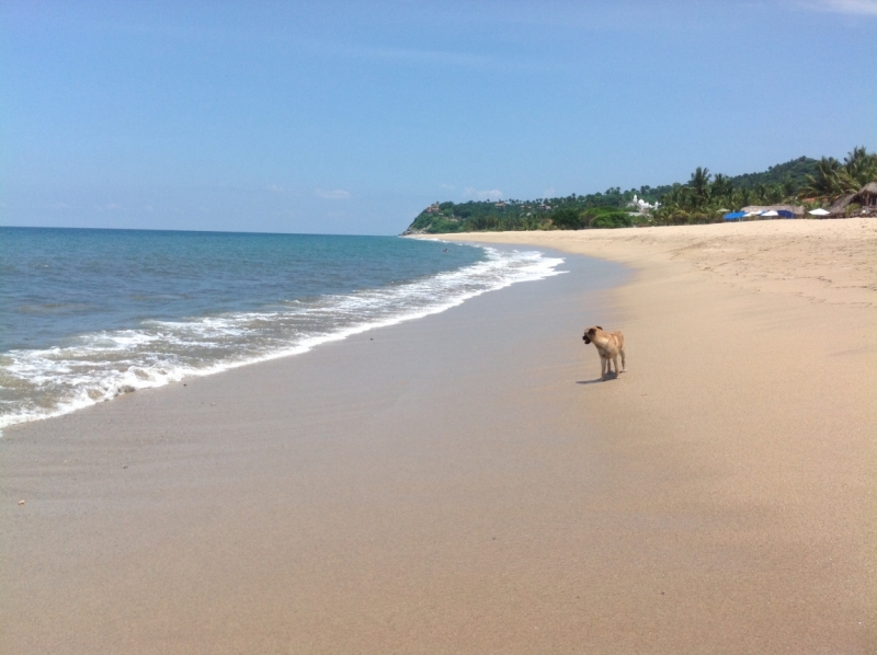 Puerto Vallarta, тихоокеанское побережье Мексики. Белое пятно на сайте Винского.