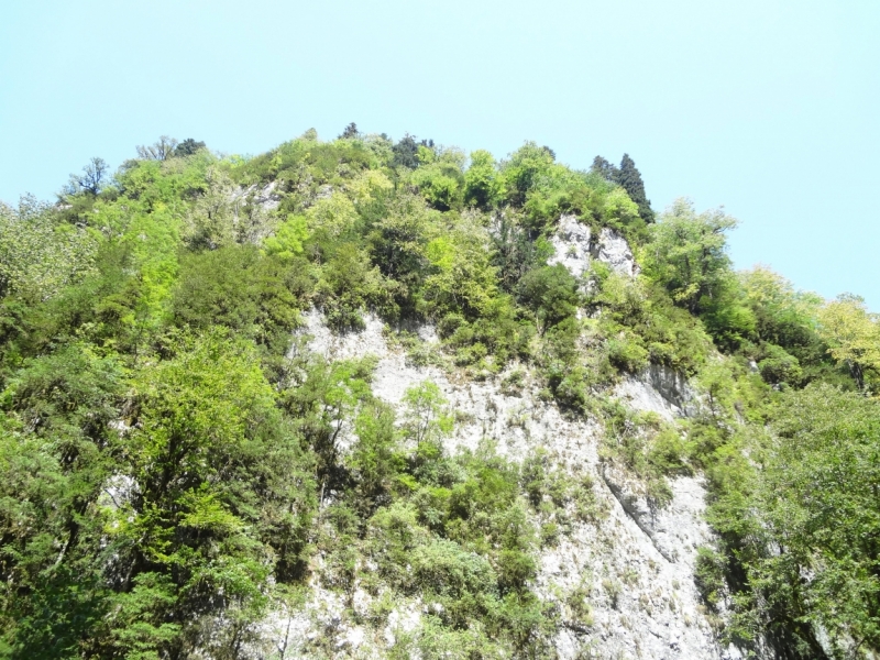 12 дней в Абхазии (Лдзаа, Пицунда, Гагра, Гудаута, Лыхны, Новый Афон, Сухум)