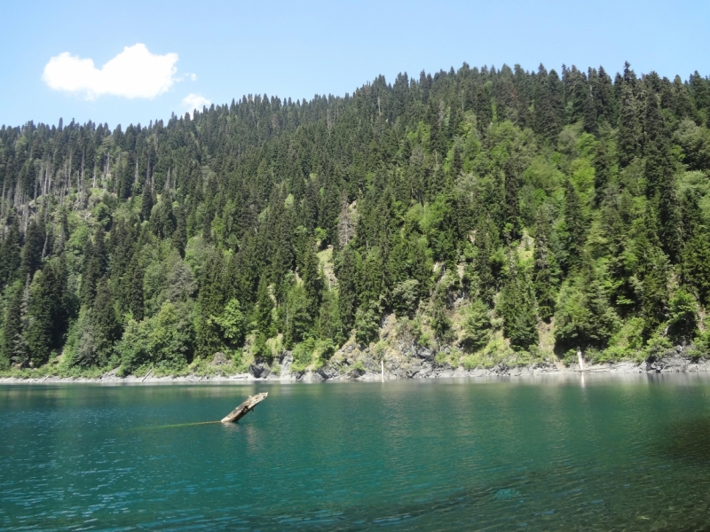 12 дней в Абхазии (Лдзаа, Пицунда, Гагра, Гудаута, Лыхны, Новый Афон, Сухум)