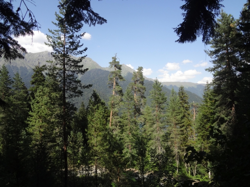 12 дней в Абхазии (Лдзаа, Пицунда, Гагра, Гудаута, Лыхны, Новый Афон, Сухум)