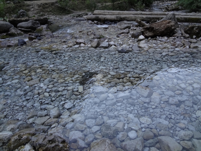 12 дней в Абхазии (Лдзаа, Пицунда, Гагра, Гудаута, Лыхны, Новый Афон, Сухум)