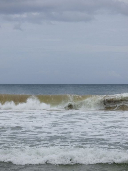 Шри-Ланка в июле-августе (маршрут 31 день на машине)