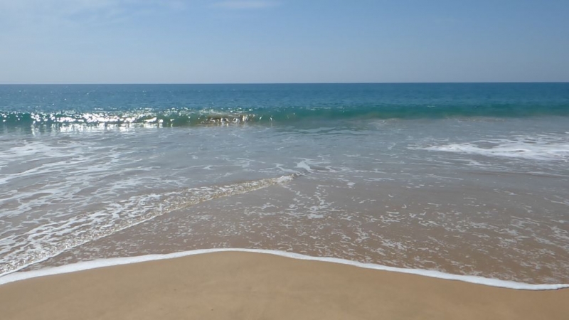 Шри-Ланка в июле-августе (маршрут 31 день на машине)