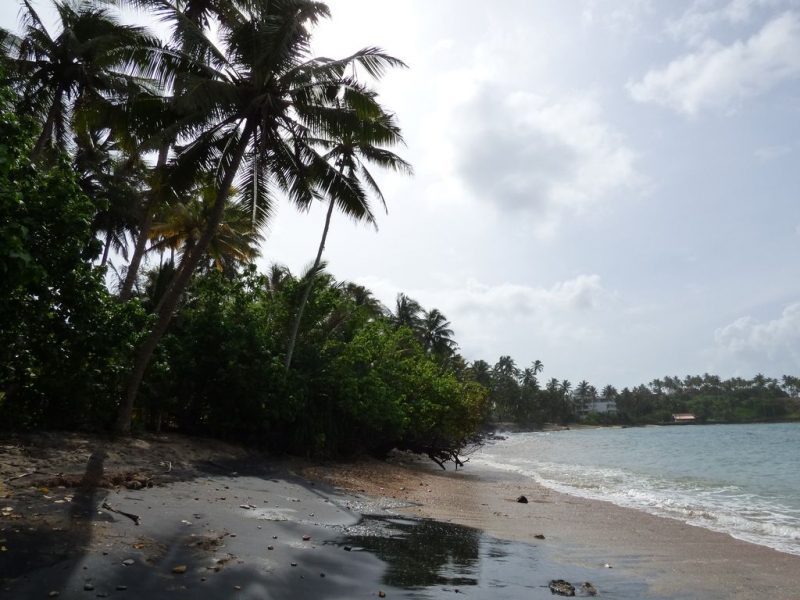 Шри-Ланка в июле-августе (маршрут 31 день на машине)