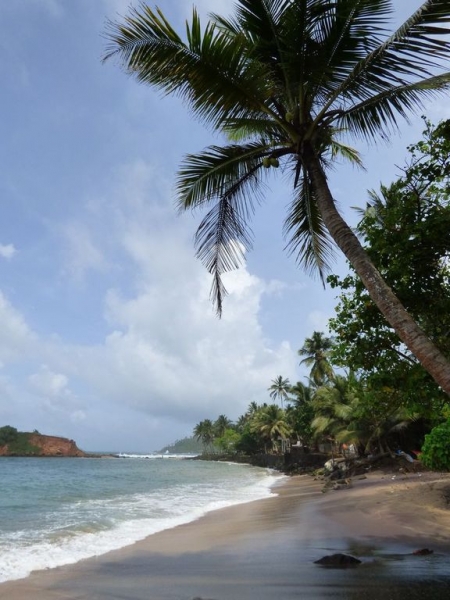 Шри-Ланка в июле-августе (маршрут 31 день на машине)