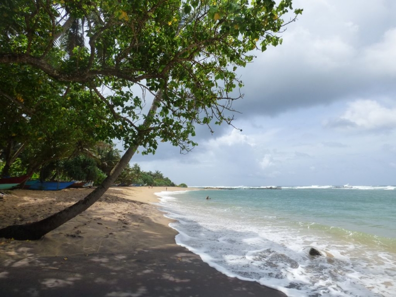 Шри-Ланка в июле-августе (маршрут 31 день на машине)