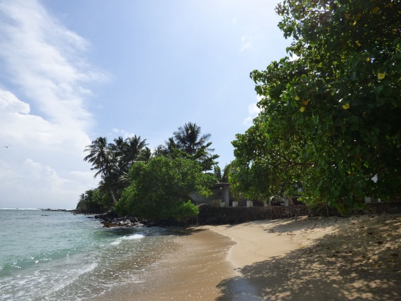 Шри-Ланка в июле-августе (маршрут 31 день на машине)