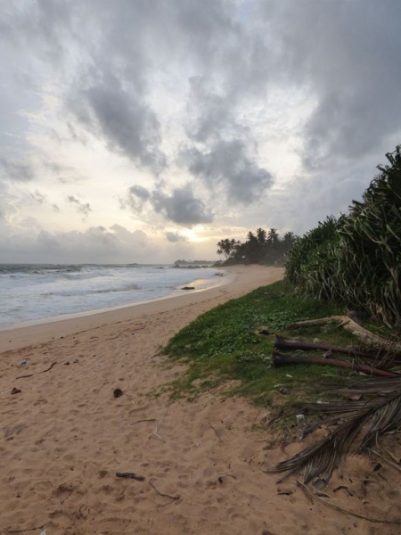 Шри-Ланка в июле-августе (маршрут 31 день на машине)