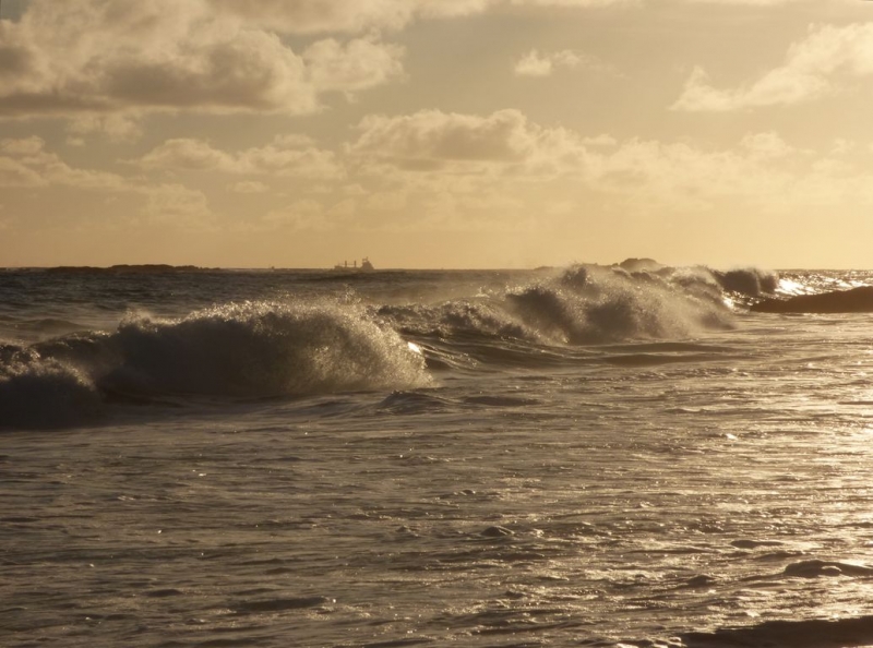 Шри-Ланка в июле-августе (маршрут 31 день на машине)