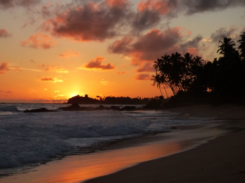 Шри-Ланка в июле-августе (маршрут 31 день на машине)