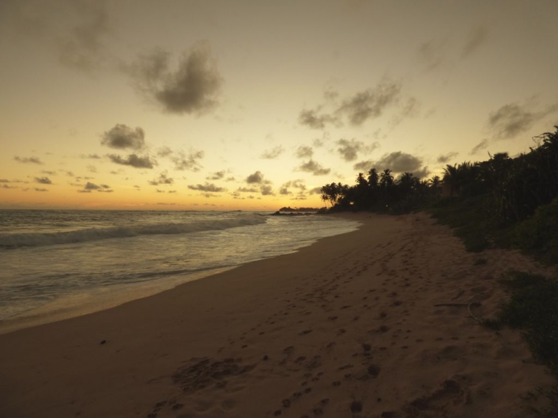 Шри-Ланка в июле-августе (маршрут 31 день на машине)