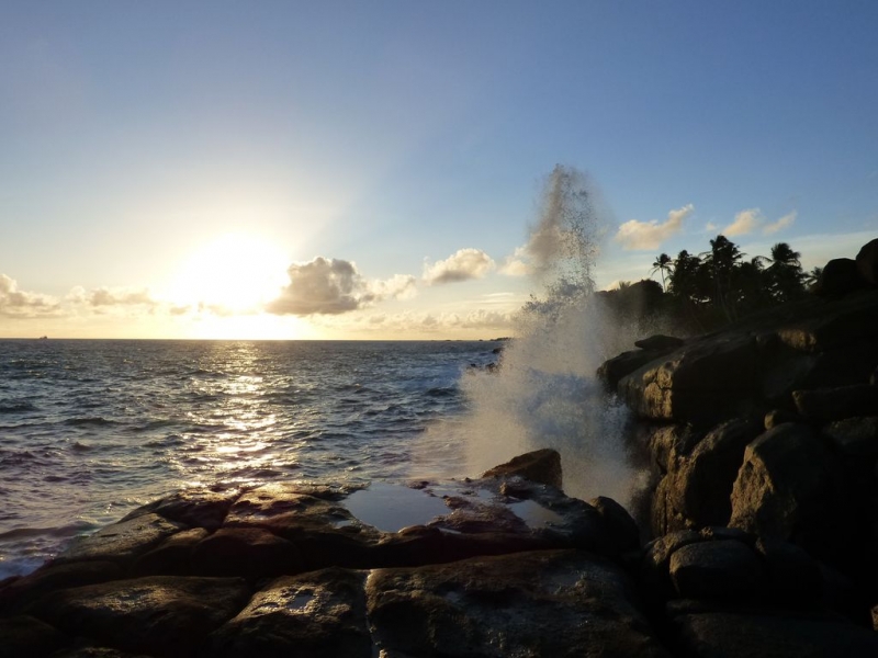 Шри-Ланка в июле-августе (маршрут 31 день на машине)