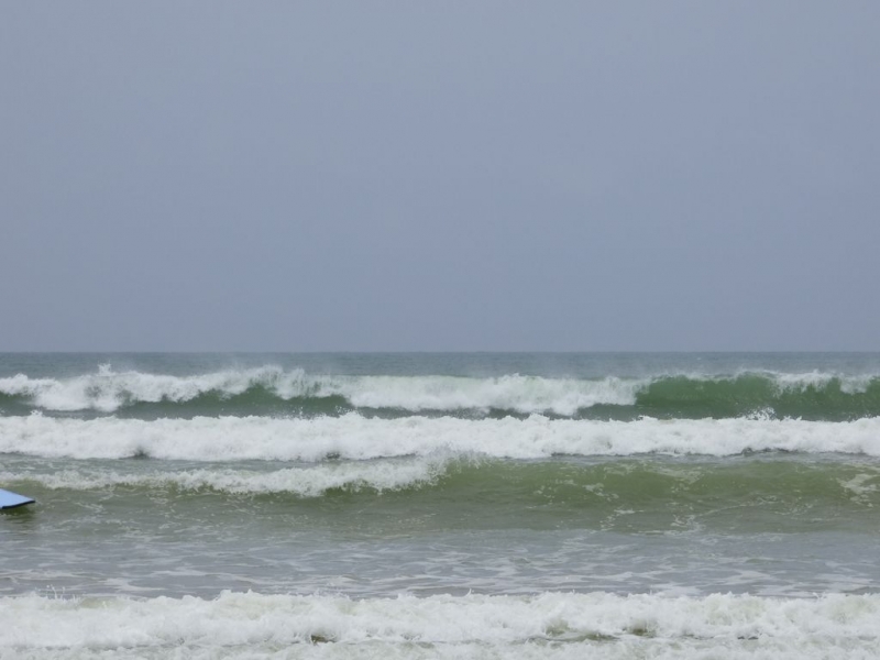 Шри-Ланка в июле-августе (маршрут 31 день на машине)