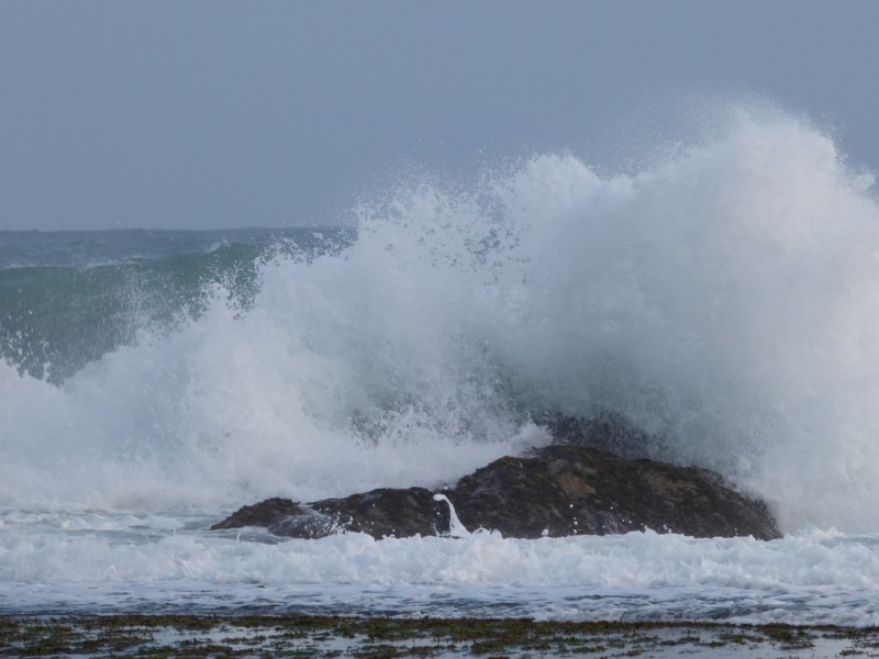 Шри-Ланка в июле-августе (маршрут 31 день на машине)