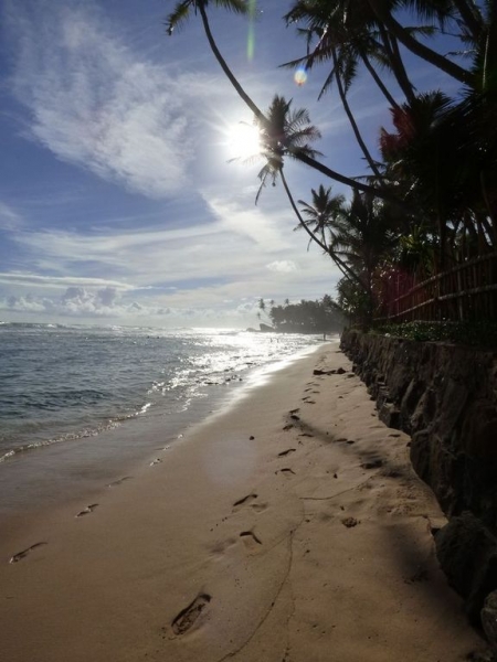 Шри-Ланка в июле-августе (маршрут 31 день на машине)