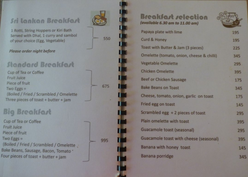 Шри-Ланка в июле-августе (маршрут 31 день на машине)