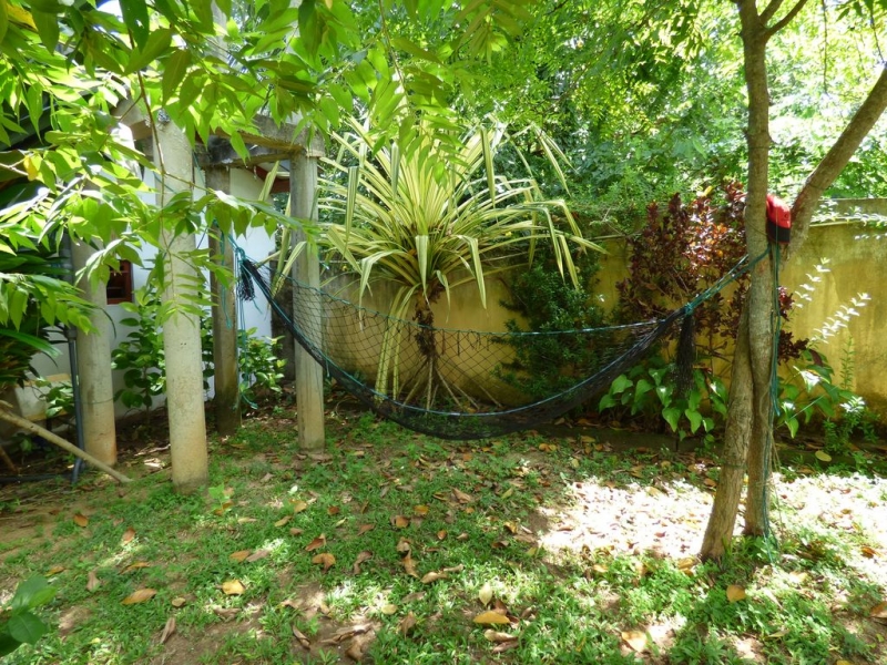 Шри-Ланка в июле-августе (маршрут 31 день на машине)