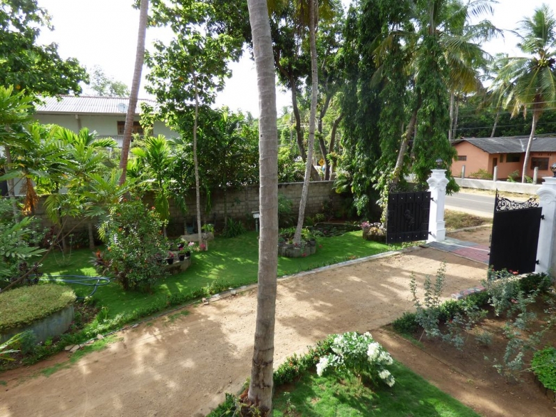 Шри-Ланка в июле-августе (маршрут 31 день на машине)