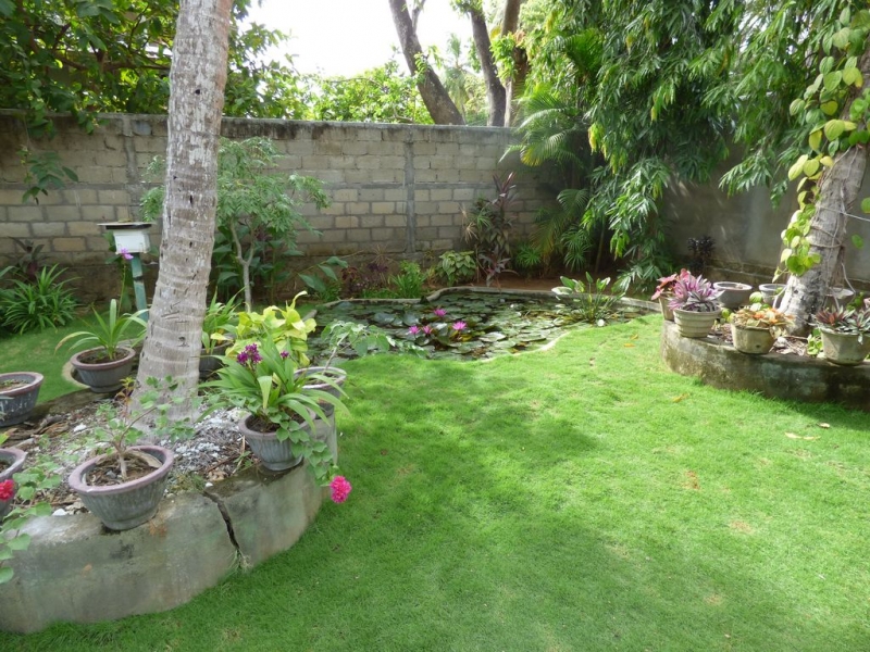 Шри-Ланка в июле-августе (маршрут 31 день на машине)