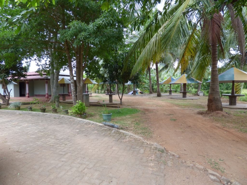 Шри-Ланка в июле-августе (маршрут 31 день на машине)