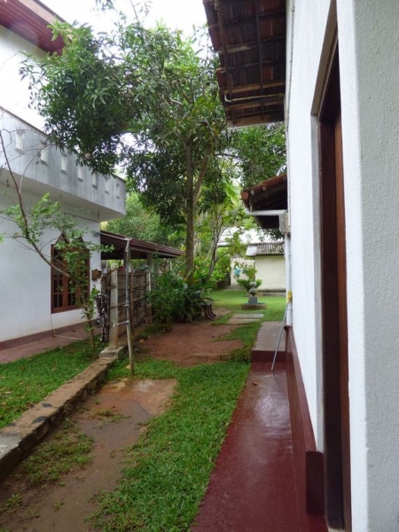 Шри-Ланка в июле-августе (маршрут 31 день на машине)