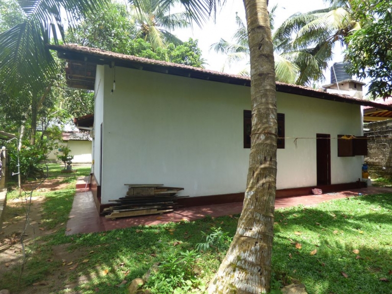 Шри-Ланка в июле-августе (маршрут 31 день на машине)