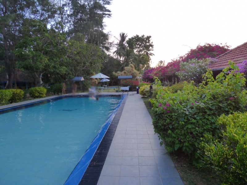 Шри-Ланка в июле-августе (маршрут 31 день на машине)