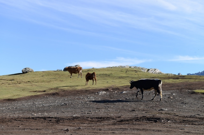 Моя великолепная Грузия, август-сентябрь 2015