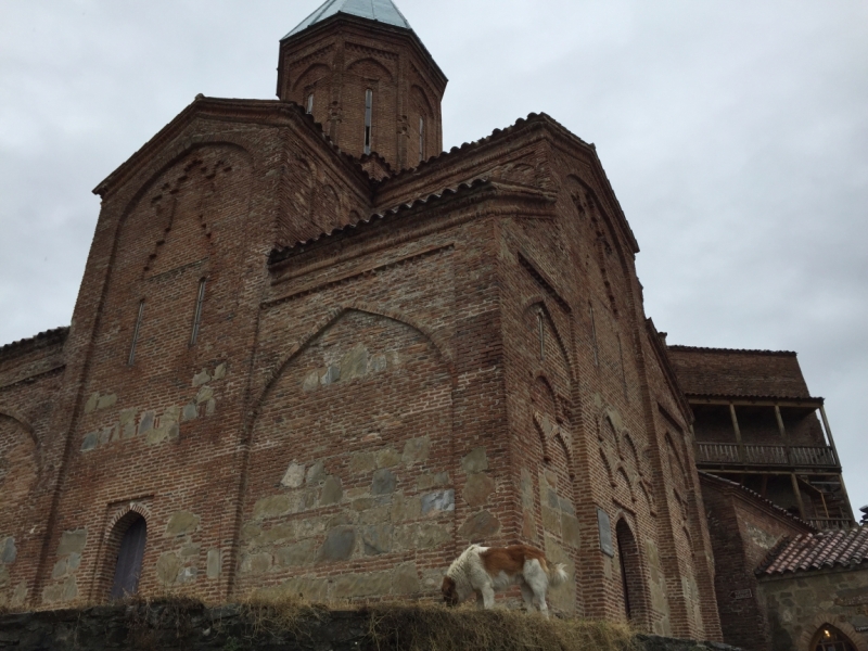 Неделя с видом на Светицховели, конец августа 2015