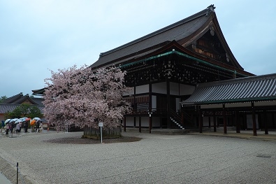 Япония в океане сакуры 2015: Tokyo-Kamakura-Osaka-Himeji-Kyoto-Yoshino-Hikone-гора Fuji