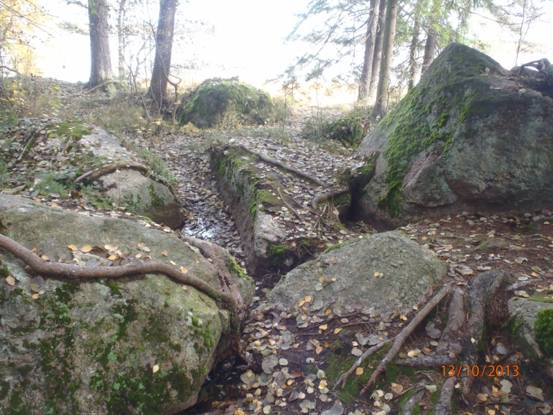 Парк Монрепо - моё отдохновение. Записки сумасшедшего туриста.